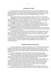 Atmintis. Atminties bendrasis apibūdinimas 4 puslapis