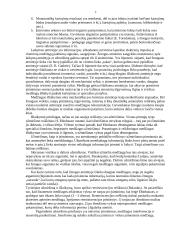 Atmintis. Atminties bendrasis apibūdinimas 7 puslapis