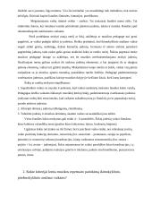 Muzikinių žaidimų, ratelių mokymo metodika 2 puslapis