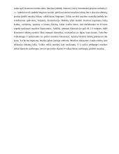 Muzikinių žaidimų, ratelių mokymo metodika 4 puslapis