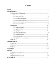 Atstovavimas civilinėje teisėje. Įgaliojimas 2 puslapis