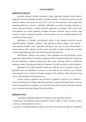 Atstovavimas civilinėje teisėje. Įgaliojimas 12 puslapis