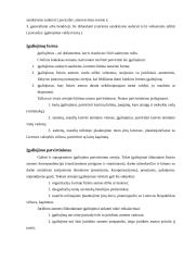 Atstovavimas civilinėje teisėje. Įgaliojimas 13 puslapis