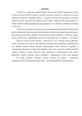 Atstovavimas civilinėje teisėje. Įgaliojimas 3 puslapis