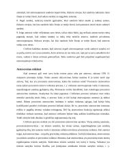 Atstovavimas civilinėje teisėje. Įgaliojimas 9 puslapis