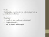 Mikroskopija, endoskopija ir jų panaudojimas medicinoje 2 puslapis