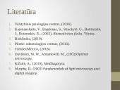 Mikroskopija, endoskopija ir jų panaudojimas medicinoje 16 puslapis