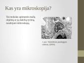Mikroskopija, endoskopija ir jų panaudojimas medicinoje 3 puslapis
