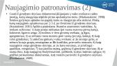 Naujagimio patronažas. Naujagimio kraitelis. Maudymas. Žindymas, žindymo problemos 3 puslapis