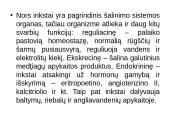 Inkstų fiziologija ir sandara 5 puslapis