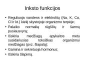 Inkstų fiziologija ir sandara 6 puslapis