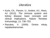 Inkstų fiziologija ir sandara 10 puslapis