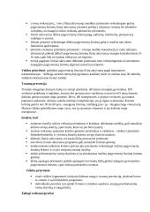 Sveikos gyvensenos supratimas senyvo amžiaus žmonėms 4 puslapis