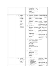 Alkoholio įtaka sveikatai Klaipėdos pajūrio progimnazijos vaikams nuo 14 iki 16 metų 4 puslapis