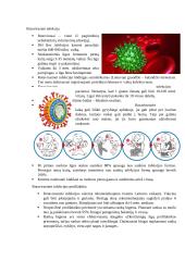 Rotavirusinės infekcijos profilaktika 2 puslapis