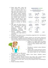 Rotavirusinės infekcijos profilaktika 3 puslapis