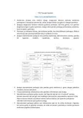 Lietuvos sveikatos priežiūros institucijų analizė 2 puslapis