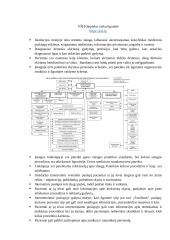 Lietuvos sveikatos priežiūros institucijų analizė 6 puslapis
