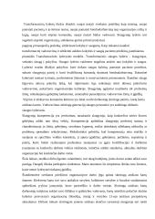 Slaugytojo lyderystės įgūdžiai 4 puslapis