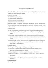 Sveikatos specialistų komandos 20 puslapis