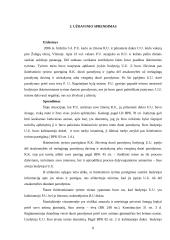 Baudžiamosios teisės rašto darbas 8 puslapis