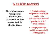 Klimato kaitos poveikis žmogui 5 puslapis