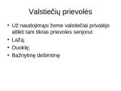 Kaimai ir miestai viduramžiais 11 puslapis