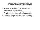 Kaimai ir miestai viduramžiais 16 puslapis