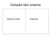 Kaimai ir miestai viduramžiais 17 puslapis