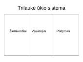Kaimai ir miestai viduramžiais 18 puslapis
