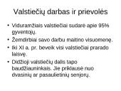 Kaimai ir miestai viduramžiais 7 puslapis