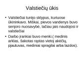 Kaimai ir miestai viduramžiais 9 puslapis