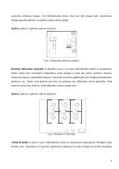 Bibliotekos dizaino projektas 6 puslapis