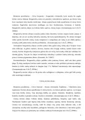 Citrusinių vaisių aliejai ir jų taikymas kosmetologijoje 4 puslapis