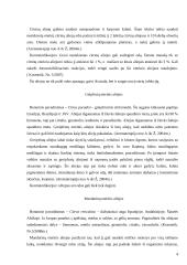 Citrusinių vaisių aliejai ir jų taikymas kosmetologijoje 5 puslapis