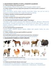 Gyvulininkystės testas 2 puslapis
