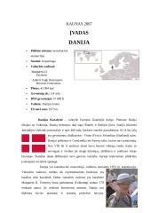 Danijos  vietos savivaldos sistemos analizė 2 puslapis
