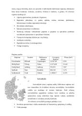 Danijos  vietos savivaldos sistemos analizė 5 puslapis