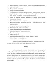 Danijos  vietos savivaldos sistemos analizė 6 puslapis