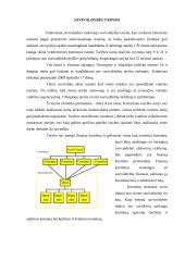 Danijos  vietos savivaldos sistemos analizė 7 puslapis