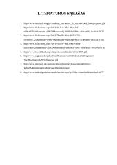 Danijos  vietos savivaldos sistemos analizė 10 puslapis