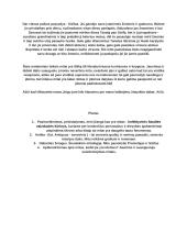 Mitų reikšmė Antikos ir dabarties žmogaus gyvenimui. Kalbėjimas 2 puslapis