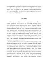 Dokumentai kaip įrodymai baudžiamajame procese 4 puslapis