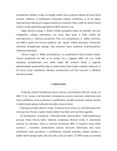 Dokumentai kaip įrodymai baudžiamajame procese 5 puslapis