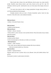 Gatvėje būk saugus 3 puslapis