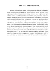 Kainos vertė prekės ženklui 3 puslapis