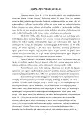 Kainos vertė prekės ženklui 6 puslapis