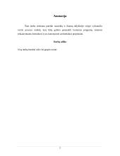 Eismo reguliavimo ir palaikymo sistema. Verslo modelis 2 puslapis