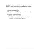 Eismo reguliavimo ir palaikymo sistema. Verslo modelis 13 puslapis