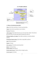 Eismo reguliavimo ir palaikymo sistema. Verslo modelis 17 puslapis
